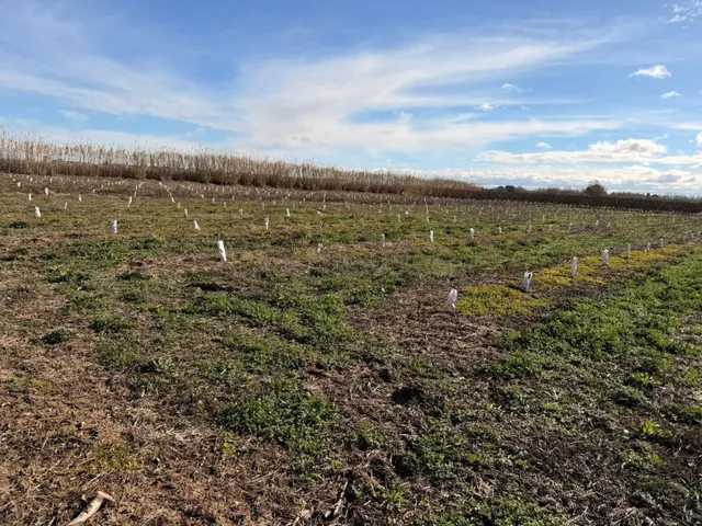 ¡OPORTUNIDAD DE INVERSIÓN! CORBINS - LLEIDA - — 2