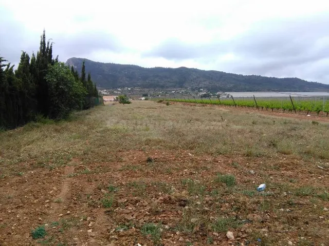 SE VENDE TERRENO RUSTICO EN ASPE ZONA ALCANA