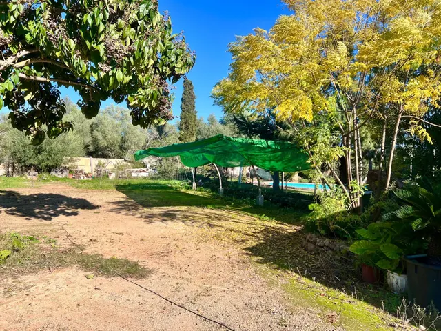 Finca rústica al lado de Muro — 25