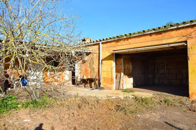 Finca con vistas a la Serra de Tramuntana en Muro - foto 4