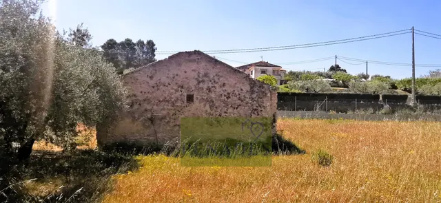PARCELA CON PEQUEÑO REFUGIO PARA RESTAURAR — 2
