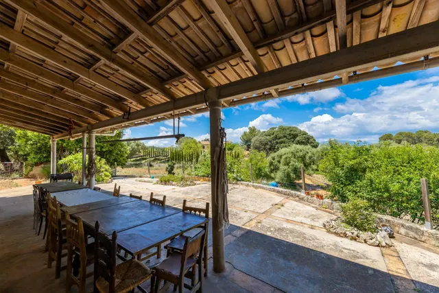 ALGAIDA, MAGNIFICA FINCA RUSTICA DE 121.000 M2 CON CASA — 16