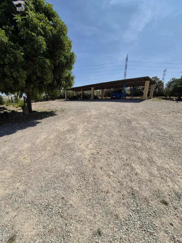 SE VENDE FINCA RÚSTICA EN ZONA DE CARRETERA ARCOS-GIBALBIN — 6