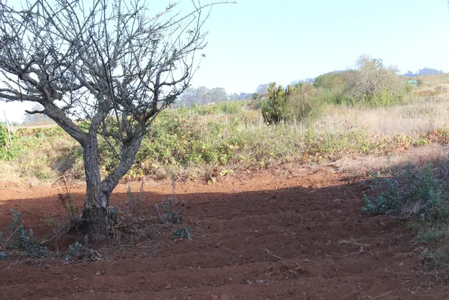 SOLAR URBANO CON FINCA RUSTICA — 7