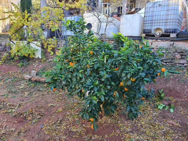 TERRENO URBANO EN VENTA EN URB CAN TAIO DE 1.048 M2 — 38