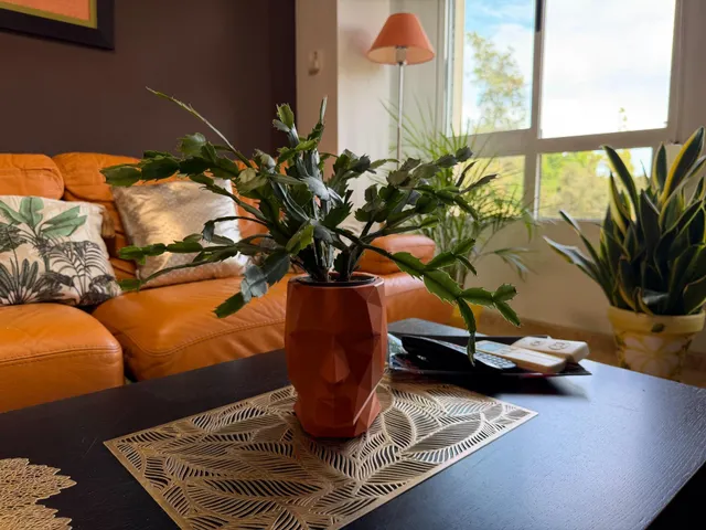 Apartamento 2 habitaciones 70m² en venta - Zona Pueblo — 37