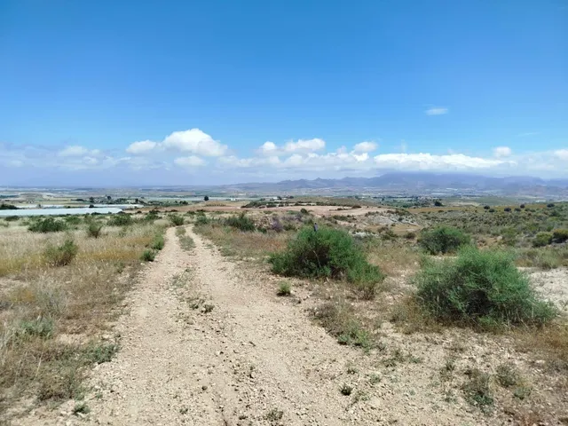 Terreno rural en venta - Leiva - foto 3