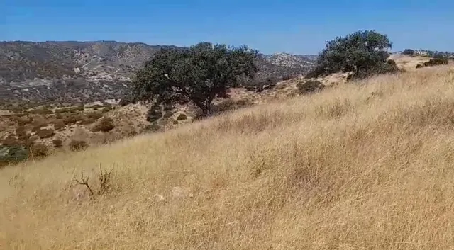 "Finca de Ensueño en Hornachuelos: Caza, Naturaleza y Confort" — 37