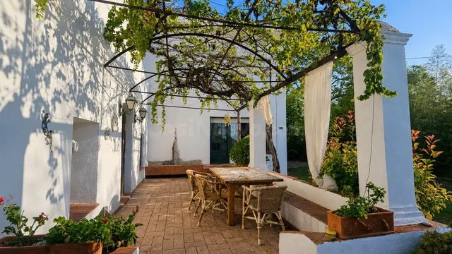 VILLA MEDITERRÁNEA CON PISCINA EN VINARÓS (ESP/ENG/GER) - foto 3