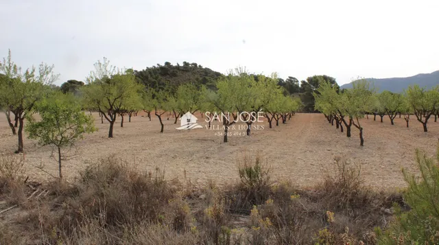 VENTA DE TERRENO EN SAX — 2