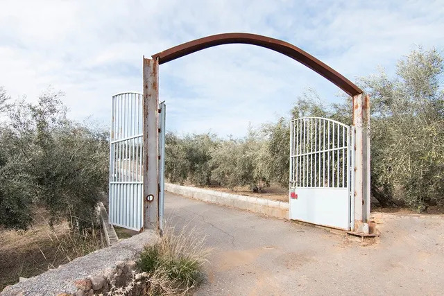 Magnifica finca 46 Hectáreas de la cual plantada de olivos, 