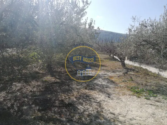TERRENO AGRICOLA EN ONTINYENT — 7