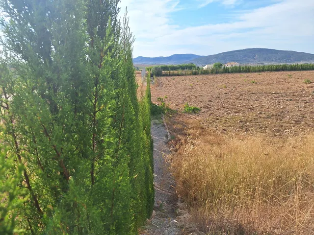 ¡Parcela edificable de 16964 m2, vallada, con agua de riego y muy buen acceso, a solo 5 minutos de Pinoso! — 6