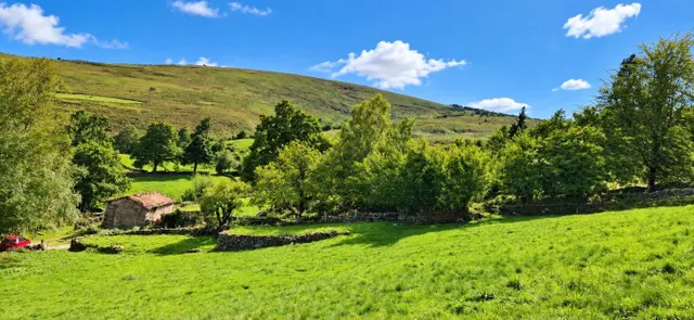 Exclusiva finca rústica de 3.899 m2 con proyecto de vivienda y autorización favorable de la crotu en sel de la carrera .- — 2