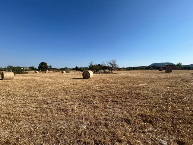 Finca rústica edificable en Montuiri - foto 4