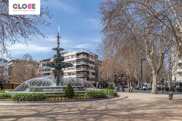 Piso con vistas a Sierra Nevada en Paseo del Salón. — 32