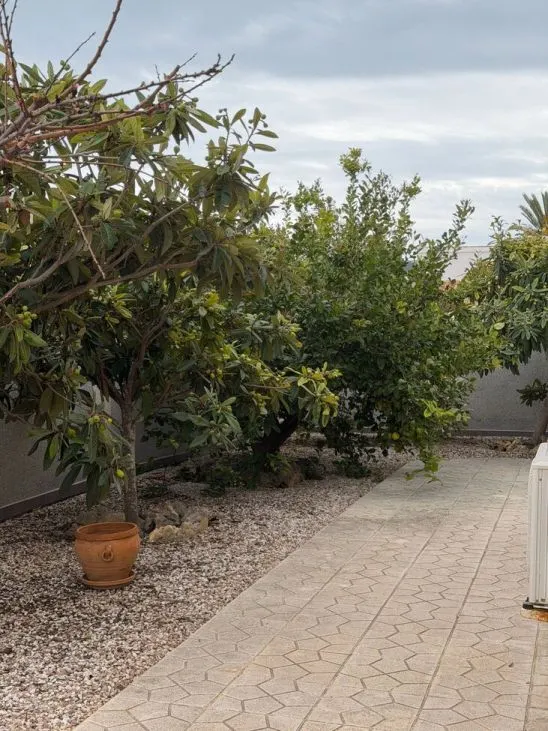 Villa 5 habitaciones 130m² en venta - La Zenia — 16