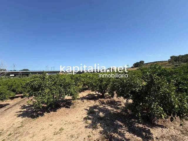 FINCA DE NARANJOS A LA VENTA EN XATIVA - foto 3