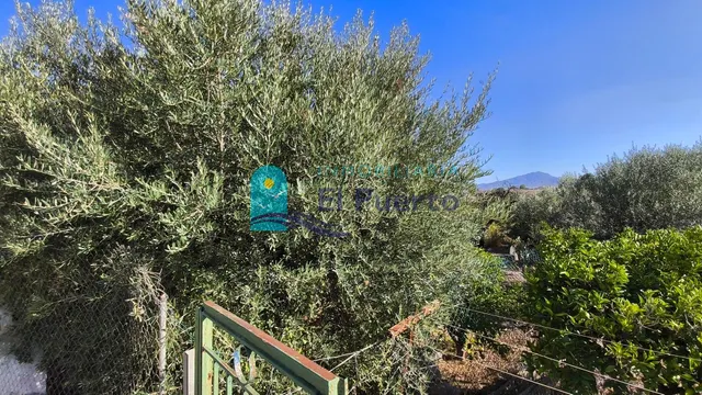 CASA DE CAMPO EN LOS CÁNOVAS PARA REFORMAR – REF. 2115 — 29