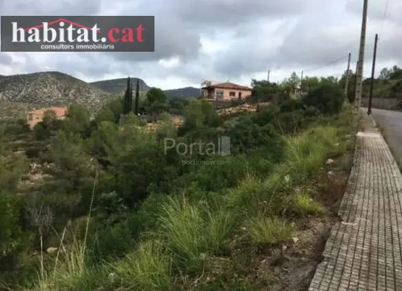 ¡¡ PARCELA EN OLIVELLA - PLANA NOVELLA !! — 6
