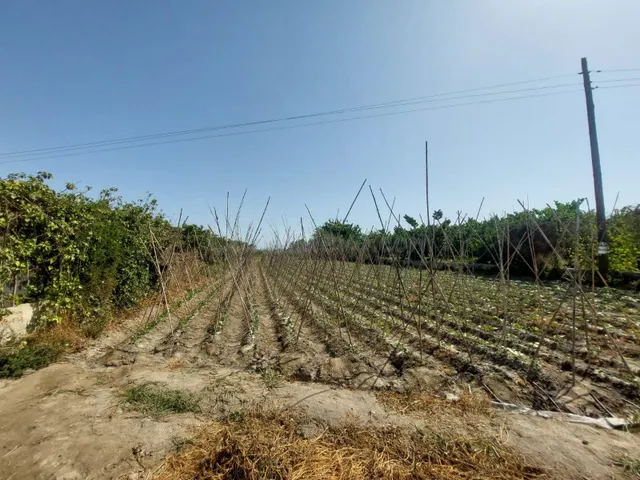 Terreno Rústico en venta - Motril pueblo - foto 2