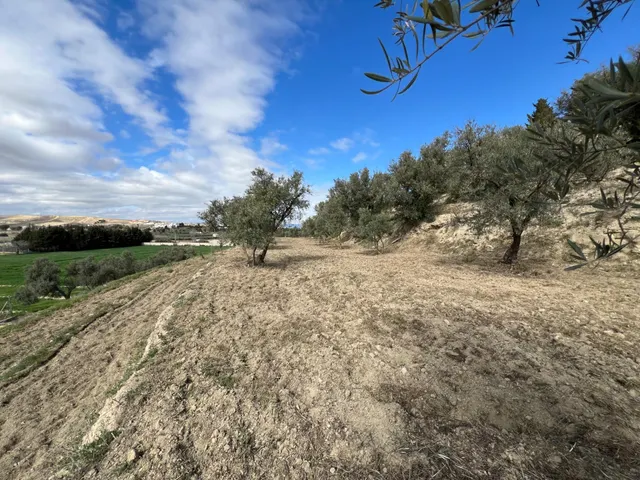 Un rincón de paz y futuro en Alhendín (SOLAR URBANIZABLE) — 16