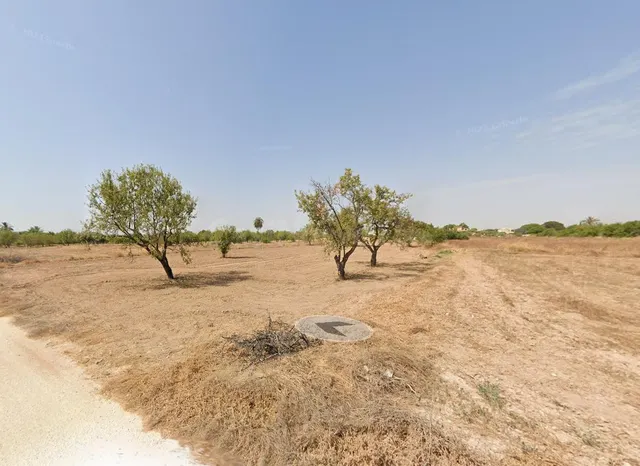 TERRENO EN ALQUILER EN TORRELLANO ALTO - foto 3