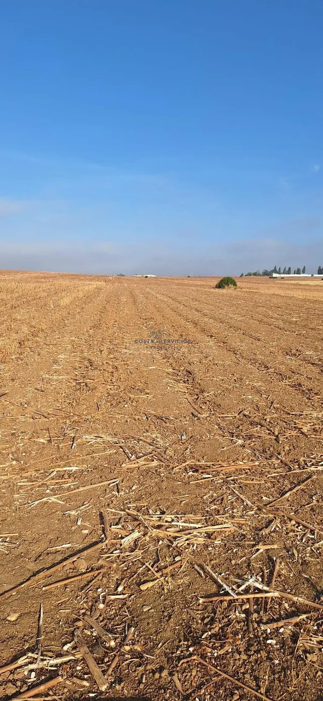Terreno agrario 1Hectarea — 2