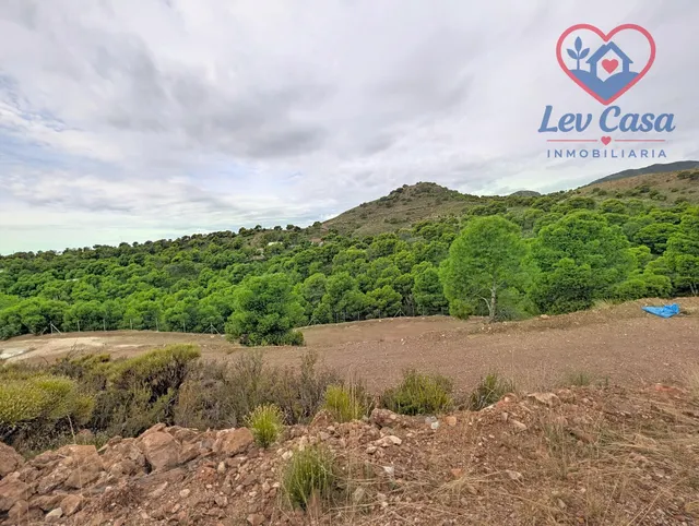 FINCA DE 10.400 M2 CON PISCINA EN SIERRA ESPUÑA — 120.000 € — 12