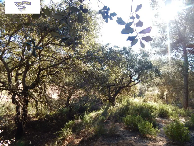 GRAN PARCELA URBANIZABLE EN PLENA NATURALEZA DE LA URB. HELIOS!!! — 9