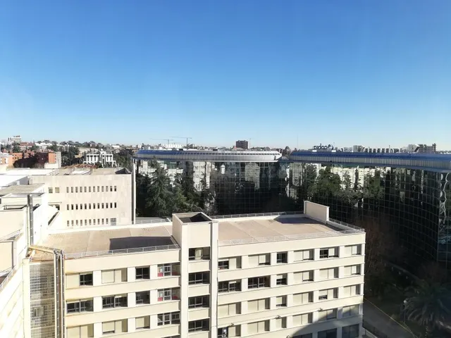 CASTILLA, OFICINA EXTERIOR- DIAFANA 266m2, Excelente Luz Nat - foto 3