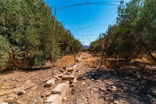 FINCA RÚSTICA EN EL EJIDO JUNTO AL POLIGONO CIAVIEJA - foto 2