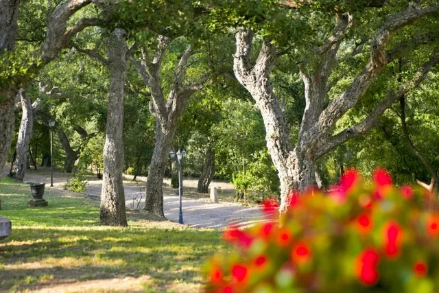 Finca Rustica en venta — 23