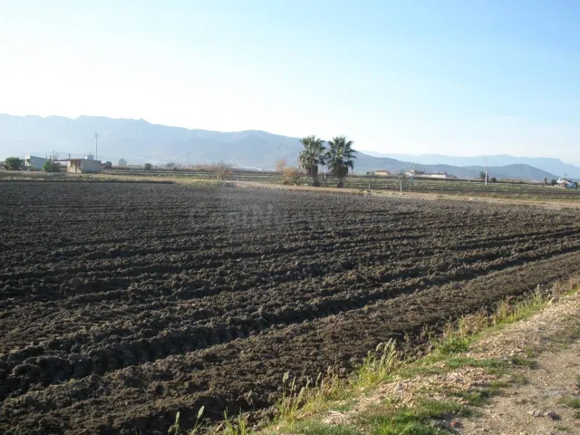 TIERRA DE ARROZ EN VENTA - foto 2