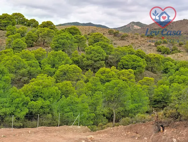 FINCA DE 10.400 M2 CON PISCINA EN SIERRA ESPUÑA — 120.000 € — 31