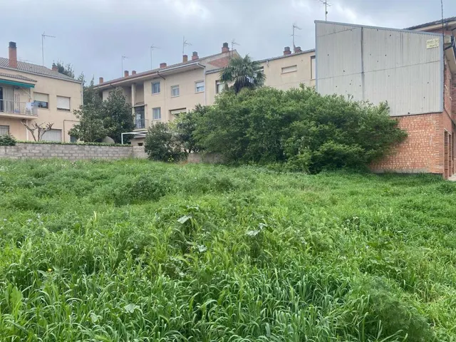 5 PARCELAS EN VENTA EN CALLÚS! — 3