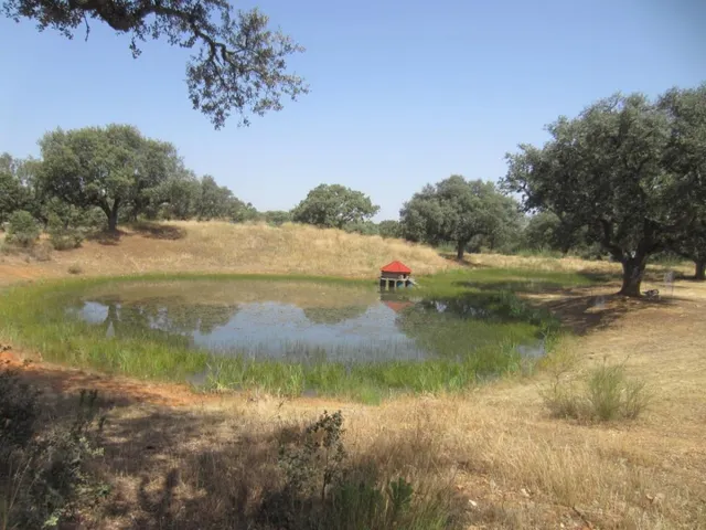Espectacular finca rustica en Ciudad Rodrigo — 28