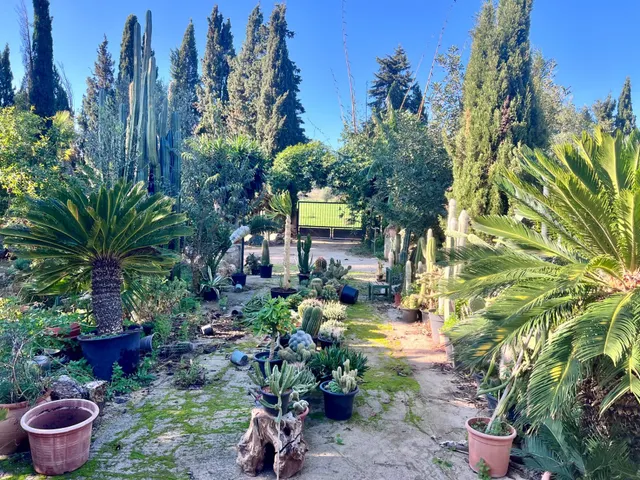 Finca rústica al lado de Muro — 24