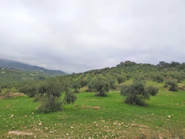 Espectacular finca en la localidad de Alozaina — 15