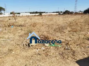 PARCELA EN VENTA LA RUANA - foto 5