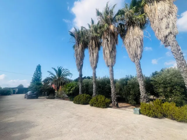 SE VENDE CHALET CON PISCINA EN LA HOYA (ELCHE) - foto 2