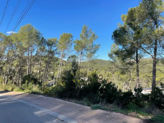 Olivella Mas Mestre parcela de 1200 m2 — 7