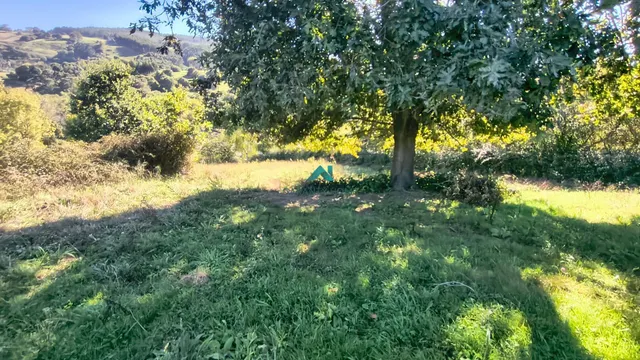 Se  vende terreno rústico en Tarrueza — 7