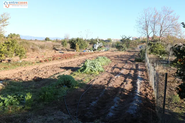 Conjunto de parcelas en Canet de Berenguer (zona gasolinera) — 7