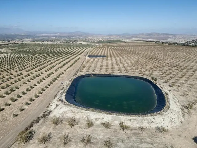 IMPRESIONANTE OPORTUNIDAD DE INVERSIÓN EN ALAMEDILLA!! — 16