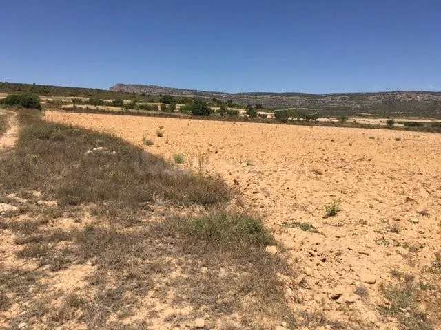 Terreno rural en venta - San anton - foto 4