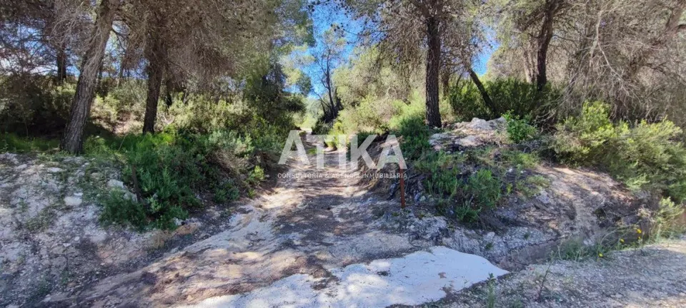 Finca rustica para rehabilitar