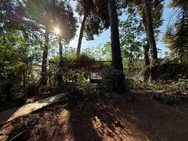Chalet independiente con gran parcela de 831 m2 junto a las  - foto 5