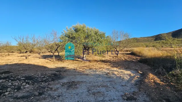 GRAN TERRENO JUNTO A LOS ALTOS DE LAS PALAS – REF. 2112 — 25