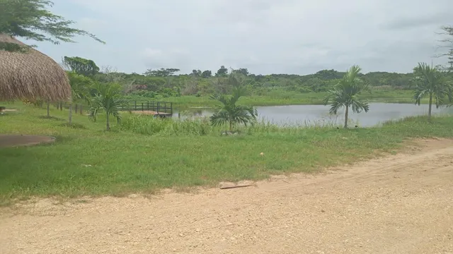 Parcela en venta - Bayunca - foto 3